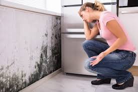 Mold Odor Removal Services in El Granada, CA